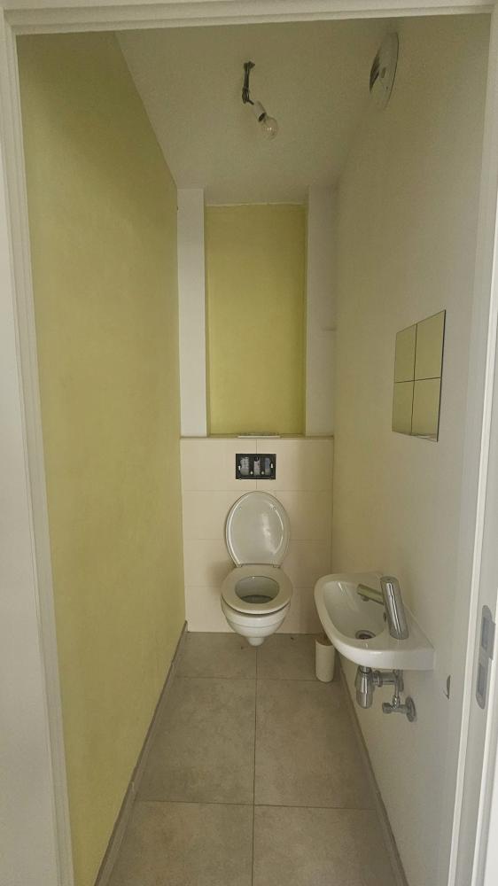 peinture toilette avant